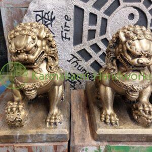 Chinese Temple Lion Gold 35 cm.